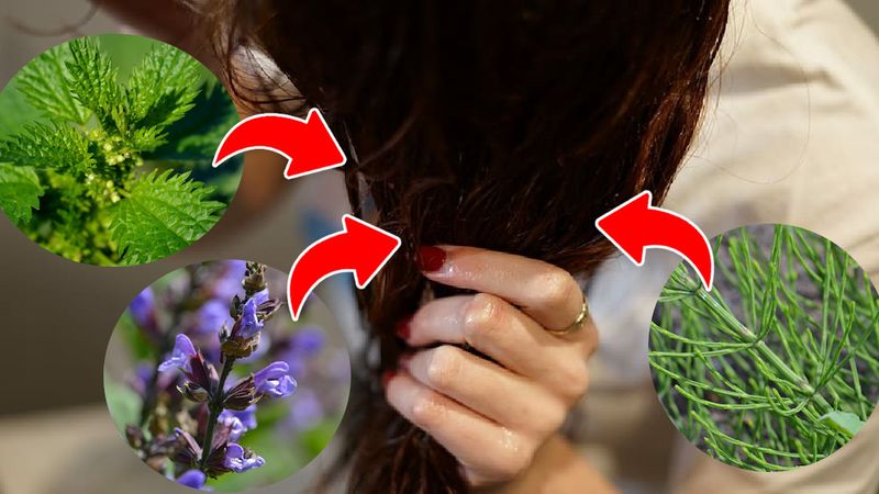 3 naturalne, ziołowe sposoby na wypadające włosy. Stymulują, pobudzają i odżywiają