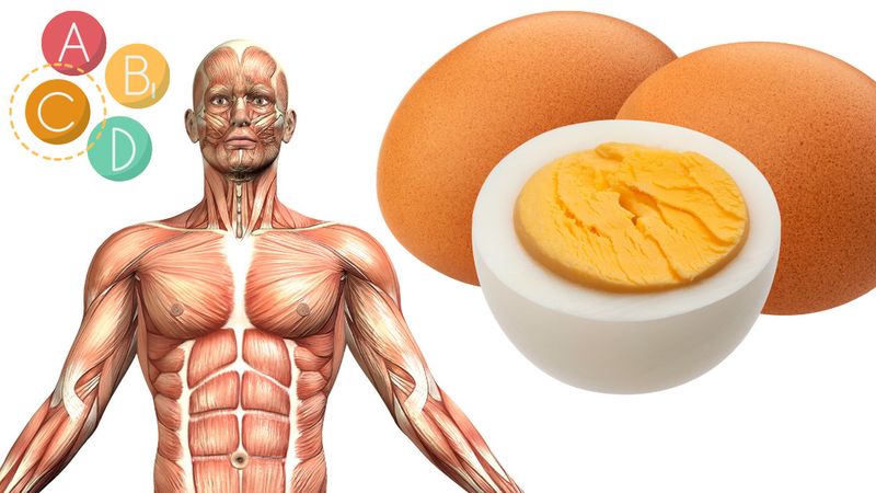 Jakie są skutki codziennego jedzenia jajek? Czy jest to bezpieczne dla naszego zdrowia?