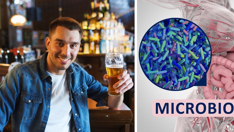 Badania dowodzą, że piwo jasne może mieć pozytywny wpływ na mikrobiom jelitowy