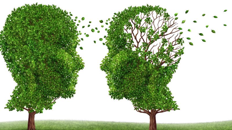 Zwróć uwagę na te 3 czynniki i zapobiegnij demencji oraz Alzheimerowi