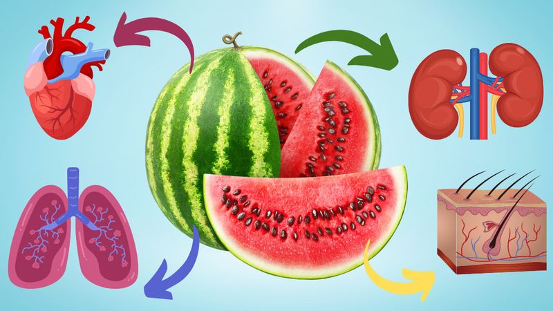 9 korzyści wynikających ze spożywania arbuza. Wykorzystaj je póki trwa sezon!