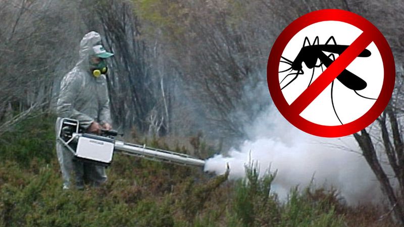 Opryski na komary – czy są bezpieczne dla zdrowia człowiek i środowiska?