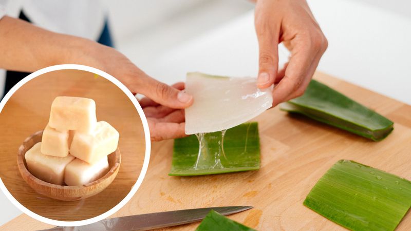 4 sposoby na wykorzystanie żelu z aloesu. Zrobisz z niego naturalny szampon lub pomadkę do ust