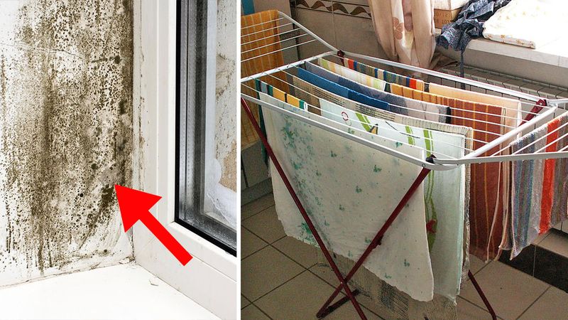 Suszenie prania zimą w domu może powodować pleśń. Moja babcia umiała temu zapobiec