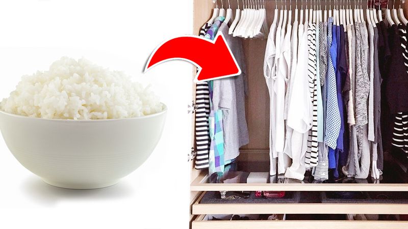 Niezwykły powód, dla którego każdy z nas powinien mieć w swojej szafie miseczkę z ryżem