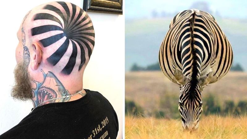 21 zaskakujących fotografii, które skutecznie wodzą za nos. Odpowiednia perspektywa ma znaczenie