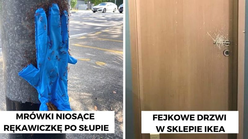 15 dziwnych rzeczy, których mało kto się spodziewał…