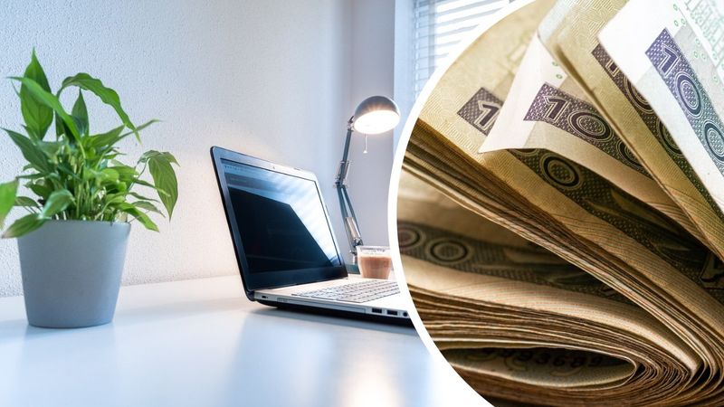 czyste biurko z rośliną i komputerem