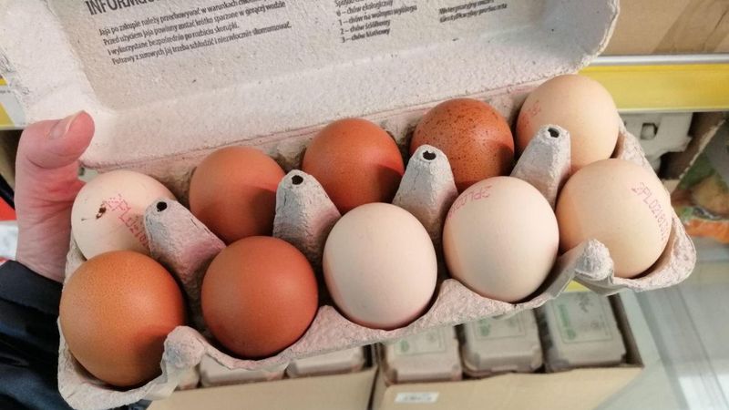 jak sprawdzić świeżość jajek w sklepie