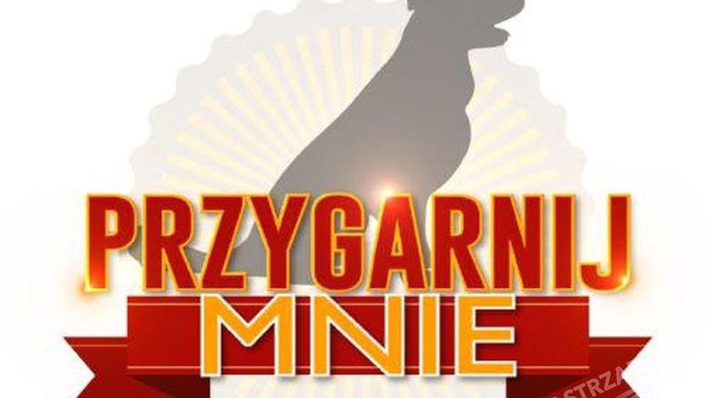 „Przygarnij mnie”: w programie wystąpi aż 7 gwiazd! Znamy też skład jury i nazwisko prowadzącej