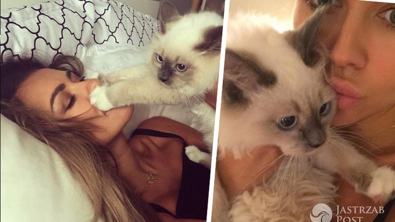 Natalia Siwiec odpowiada internautom dlaczego oddała kota