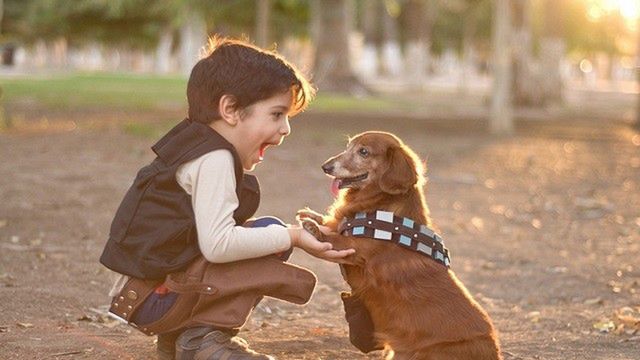12 powodów, dla których dzieci powinny wychowywać się z psami.