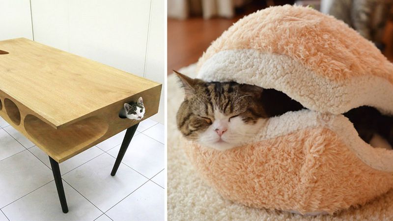 25 niesamowitych pomysłów na meble dla miłośników kotów.