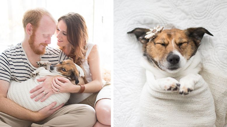 Ta para zrobiła wyjątkową noworodkową sesję zdjęciową… ze swoim psem!