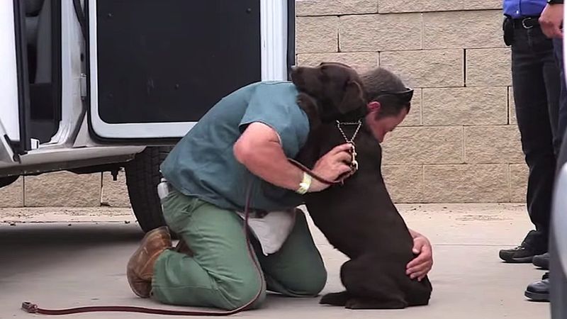 Ten mężczyzna przebywając w więzieniu wychował psa. Ale, kiedy musiał się z nim rozstać stało się to!