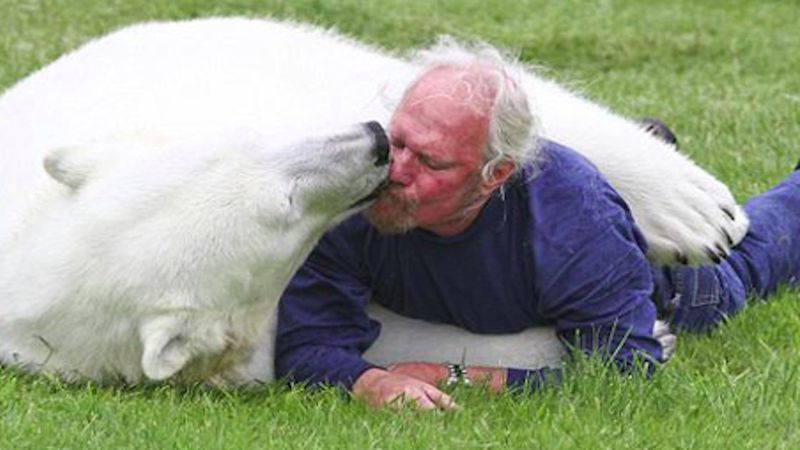 Niedźwiedź polarny widzi mężczyznę, którego zna od małego i natychmiast się na niego rzuca