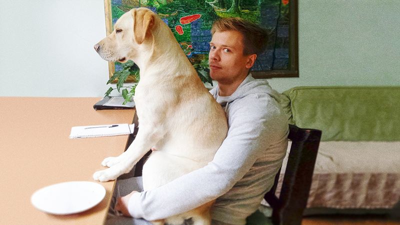 15 zabawnych psów, które zupełnie nie rozumieją znaczenia pojęcia „przestrzeń osobista”