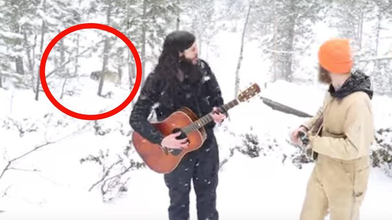 2 mężczyzn zaczęło grać i śpiewać w środku lasu. Ale spójrz, co wyłania się zza nich w 0:22 minucie!