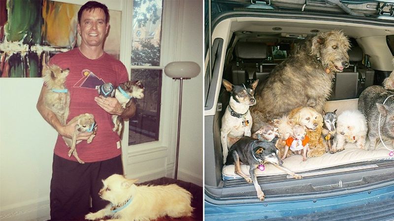 Ten mężczyzna poświęcił swoje życie, aby ratować psy, które inaczej zostałyby uśpione