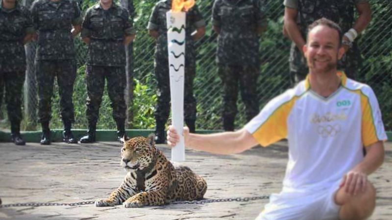 Zniewolony jaguar próbował wydostać się na wolność. Po nieudanej próbie, stało się coś strasznego!