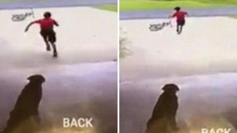 Kobieta zarejestrowała na kamerze, jak obce dziecko podbiega do jej psa i go przytula, po czym szybko ucieka