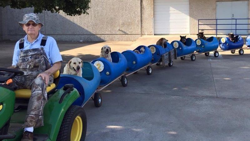 80-latek zbudował specjalny pociąg, którym zabiera dziewiątkę swoich adoptowanych psów na wycieczki.