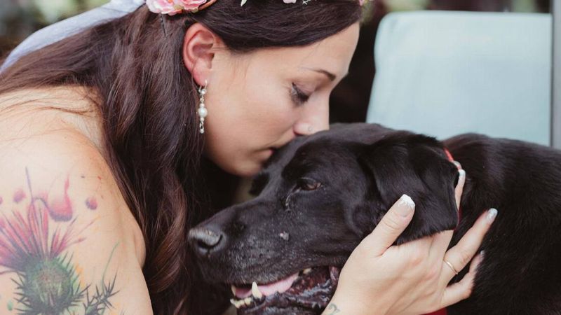 Poruszająca historia umierającego psa, który towarzyszył swojej właścicielce podczas jej ślubu