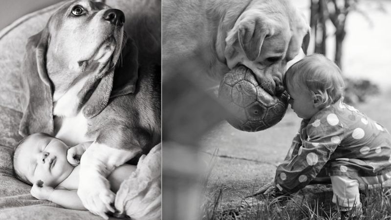 27 zdjęć, które udowadniają, że psy kochają dzieci bezwarunkowo i są ich najlepszymi przyjaciółmi