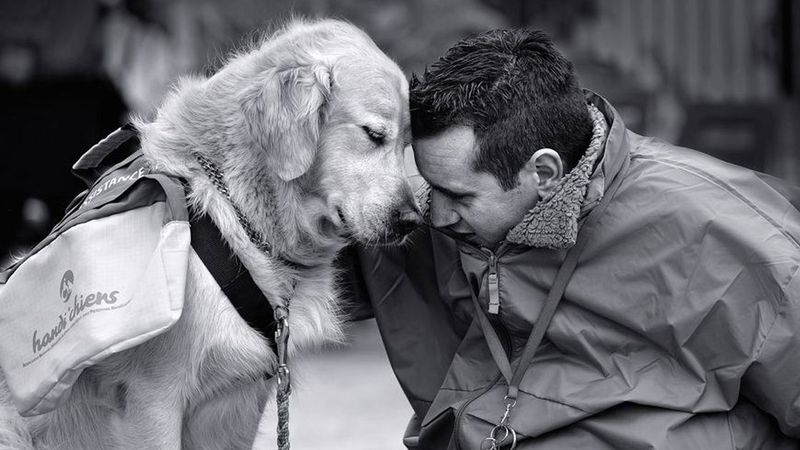 15 zdjęć, które pokazują, że posiadanie psa to jedno z najpiękniejszych doświadczeń w życiu człowieka