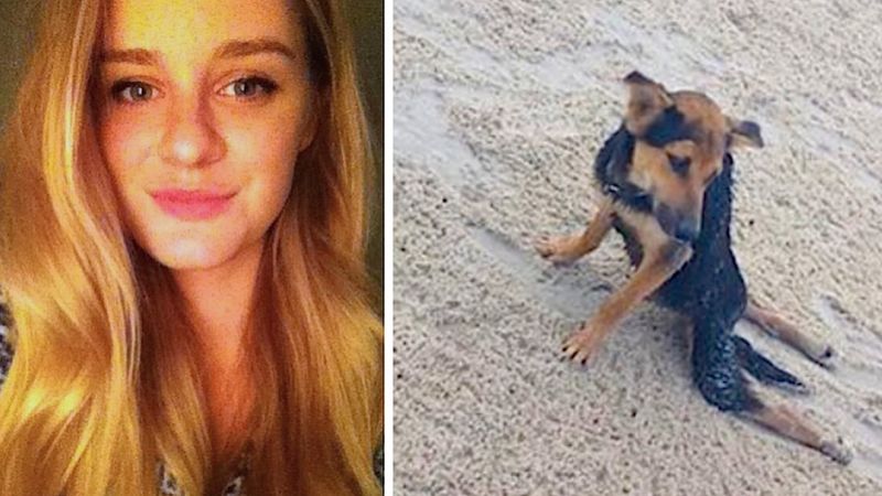 Przyleciała do Tajlandii na wakacje. Na plaży dostrzegła sparaliżowanego psa, którego nie mogła tak zostawić