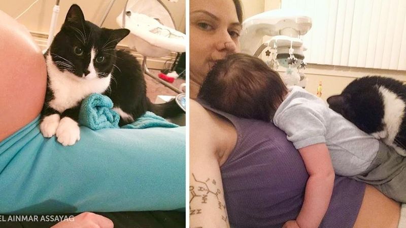 Ten kot pokochał dziecko swojej właścicielki jeszcze przed urodzeniem. Łącząca ich więź jest niesamowita!