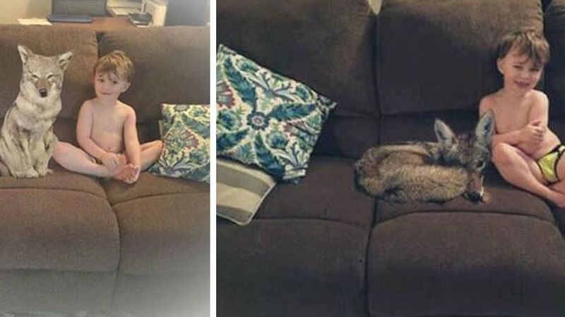 Żona poinformowała męża przez SMS-a, że przygarnęła do domu psa. Na zdjęciach widać coś innego!