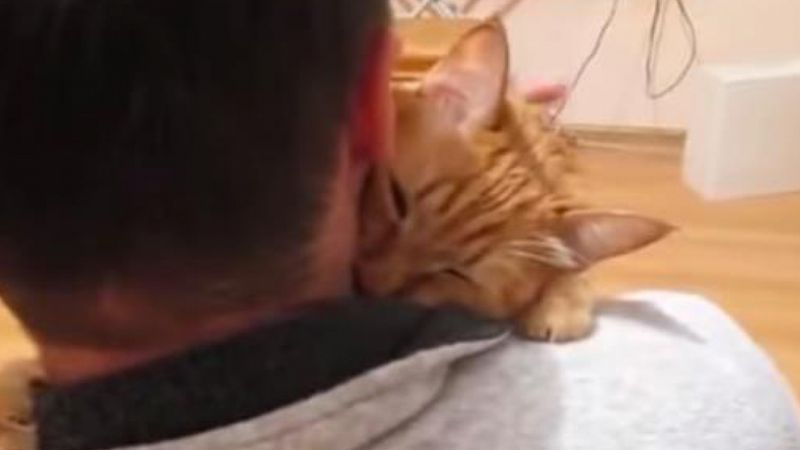 Ten uroczy kot tak bardzo kocha swojego właściciela, że nie ma zamiaru go puścić. Dosłownie!