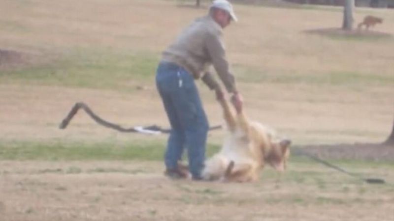 Siłą próbuje zaciągnąć swojego psa z parku do domu. Można się popłakać