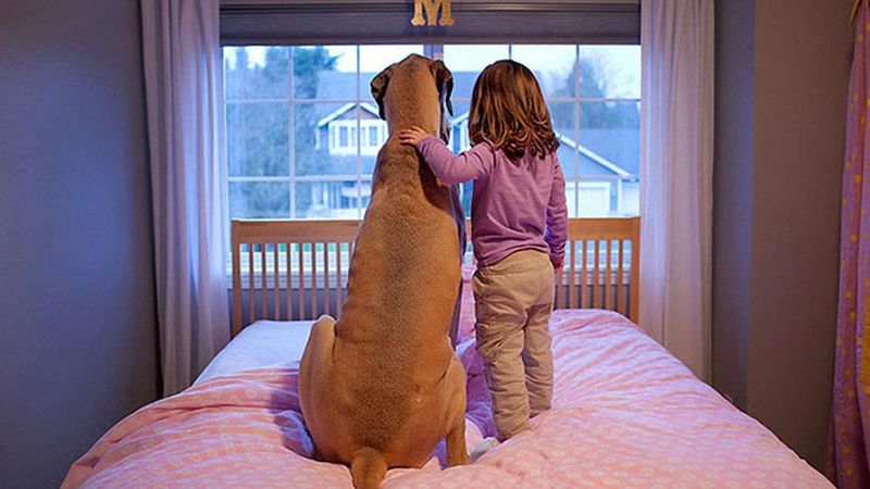 20 poruszających serce zdjęć, które są dowodem tego, że dziecko powinno dorastać razem z psem