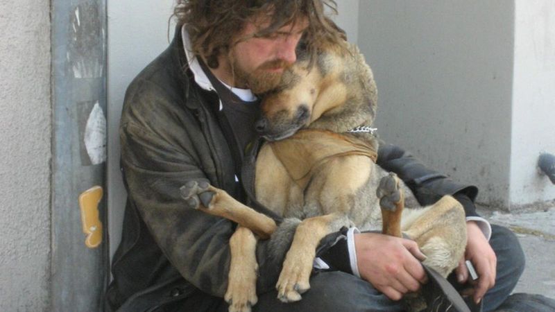 15 lojalnych psów, które pozostają wierne swoim właścicielom nawet w tych najgorszych chwilach