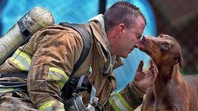 Zdjęcia strażaków i uratowanych zwierząt, które poruszą serce największego twardziela