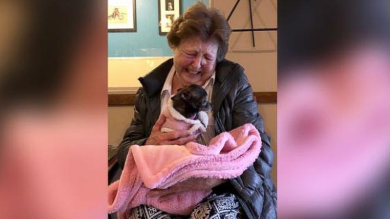 Wnuczka uchwyciła na zdjęciu niesamowitą więź między babcią a przygarniętym, 10-letnim psem