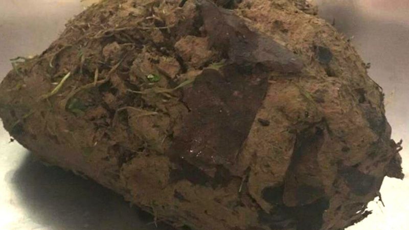 Odnaleziono kawałek zaschniętej gliny, który skrywał przerażający sekret