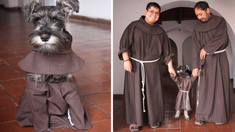 Bezpański pies dołączył do klasztoru jako kolejny zakonnik. Szybko zmienił oblicze tego miejsca