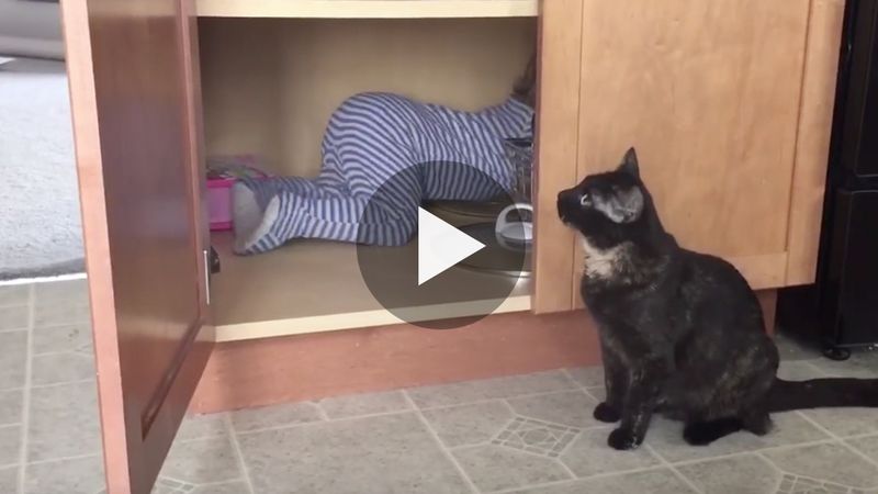 Niemowlak wszedł do kuchennej szafki. Nikt nie spodziewał się tego, co zrobi wtedy kot!