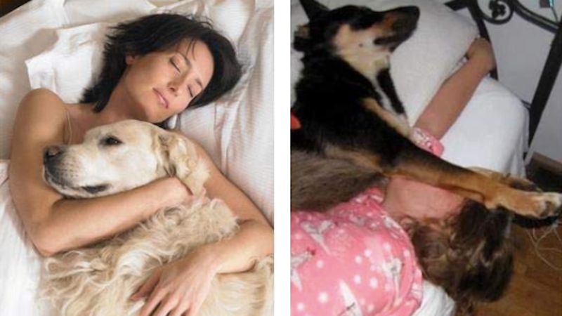 Nie powinieneś spać ze swoim psem szczególnie w okresie letnim! To może Ci zaszkodzić!