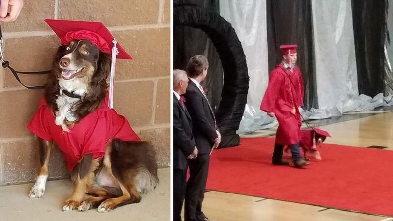 Nastolatek pojawia się na ceremonii rozdania dyplomów z psem. Nie przyprowadza go przypadkowo