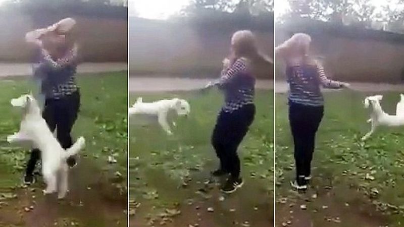 14-latka podniosła psa za smycz i zaczęła się z nim kręcić. Czworonóg był bezsilny…