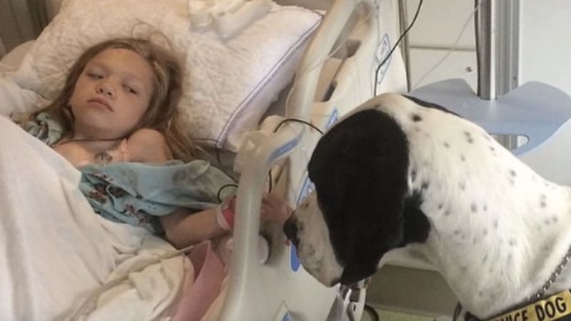 11-latka cierpi na rzadką chorobę. Nie uwierzysz, co robi ten pies, aby jej pomóc!
