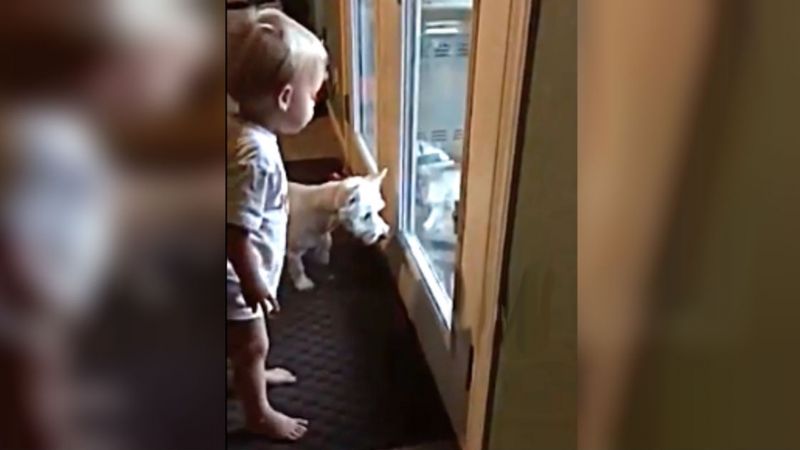 Chłopiec i pies wyglądają przez okno. Maluch stwierdza, że to, co widzi przez szybę to smok!