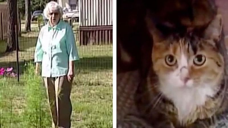97-latka była w ogrodzie, kiedy zaatakowały ją 4 pit bulle. W jej obronie stanął kot