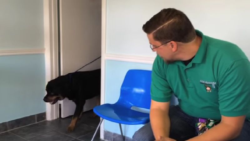 Po 8 latach rozstania jego pies wchodzi do pokoju. Trudno uwierzyć, jak zareagował
