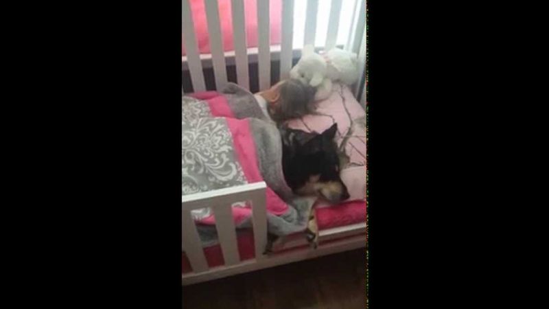 Po cichu weszła do pokoju córeczki, aby uchwycić to, jak śpi ze swoim ukochanym psem