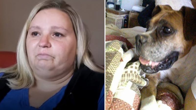 Myślała, że jej pies został uśpiony. 6 miesięcy później przypadkowo znajduje go w ogłoszeniu